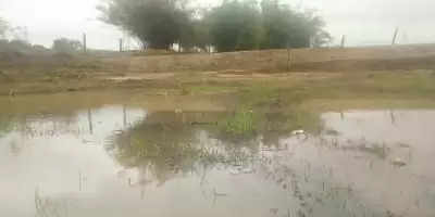 बिहार में अमृत सरोवर को लेकर कवायद शुरू, मनरेगा के तहत बनेंगे तालाब